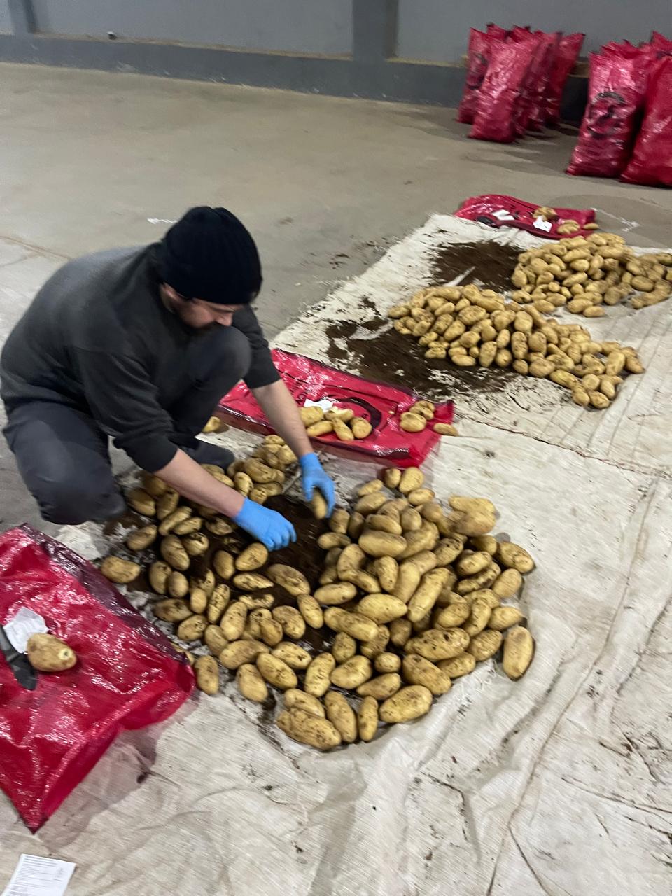 Metropolitan Office Tower