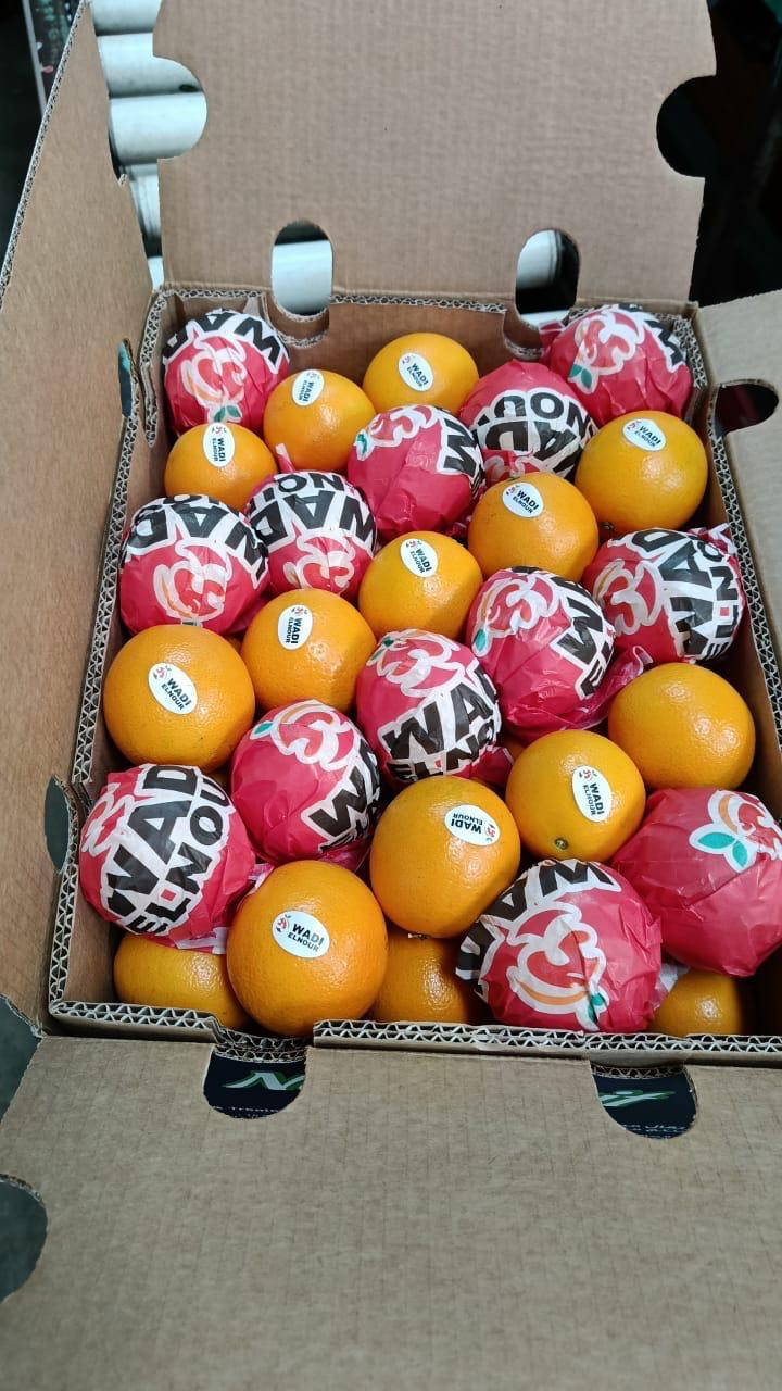 Metropolitan Office Tower